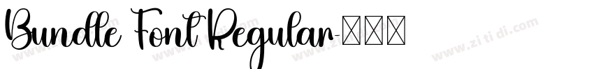Bundle Font Regular字体转换 Bundle Font Regular字体转换